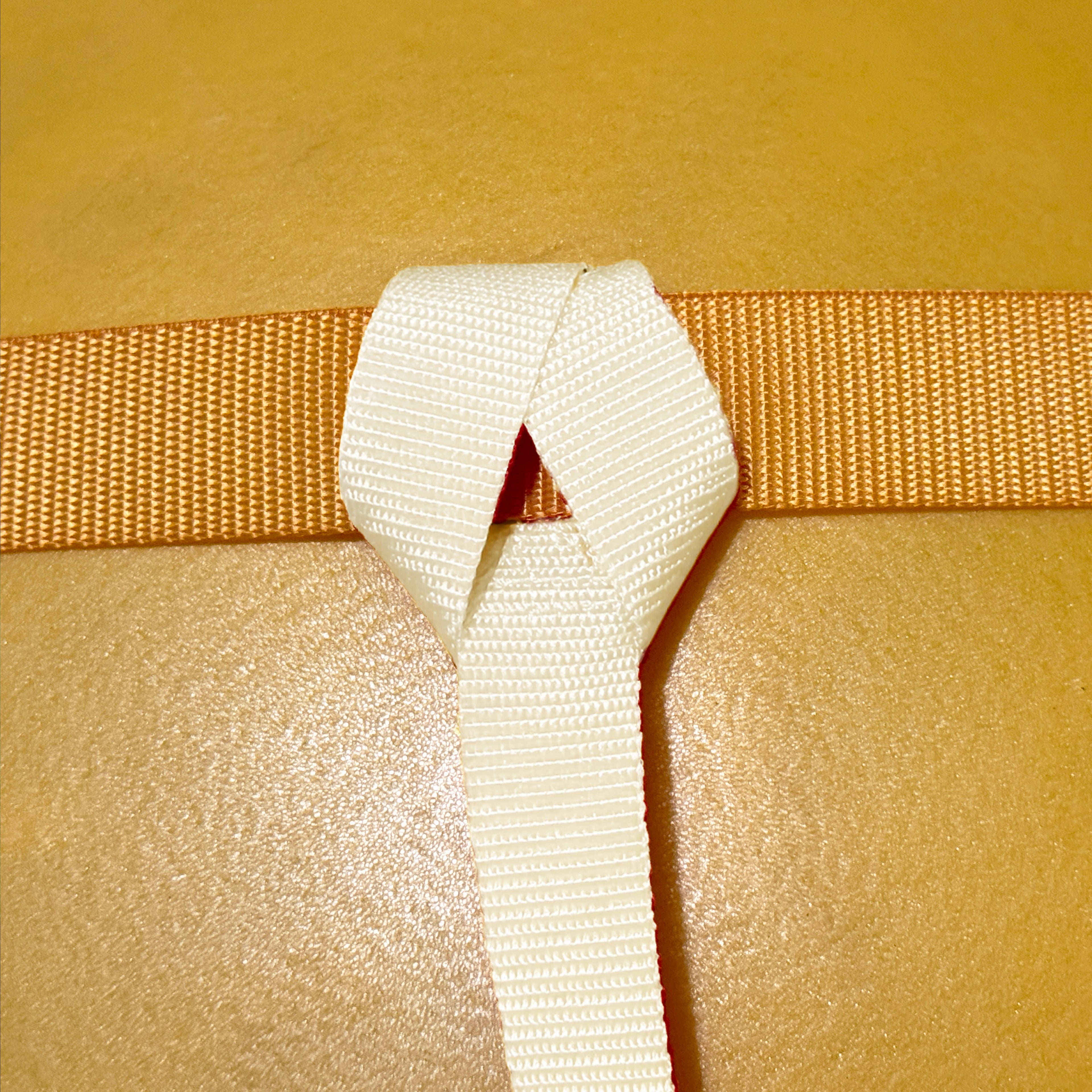 PoolTree System V2.0 - Long Support Strap (Connects to Ball Harness)