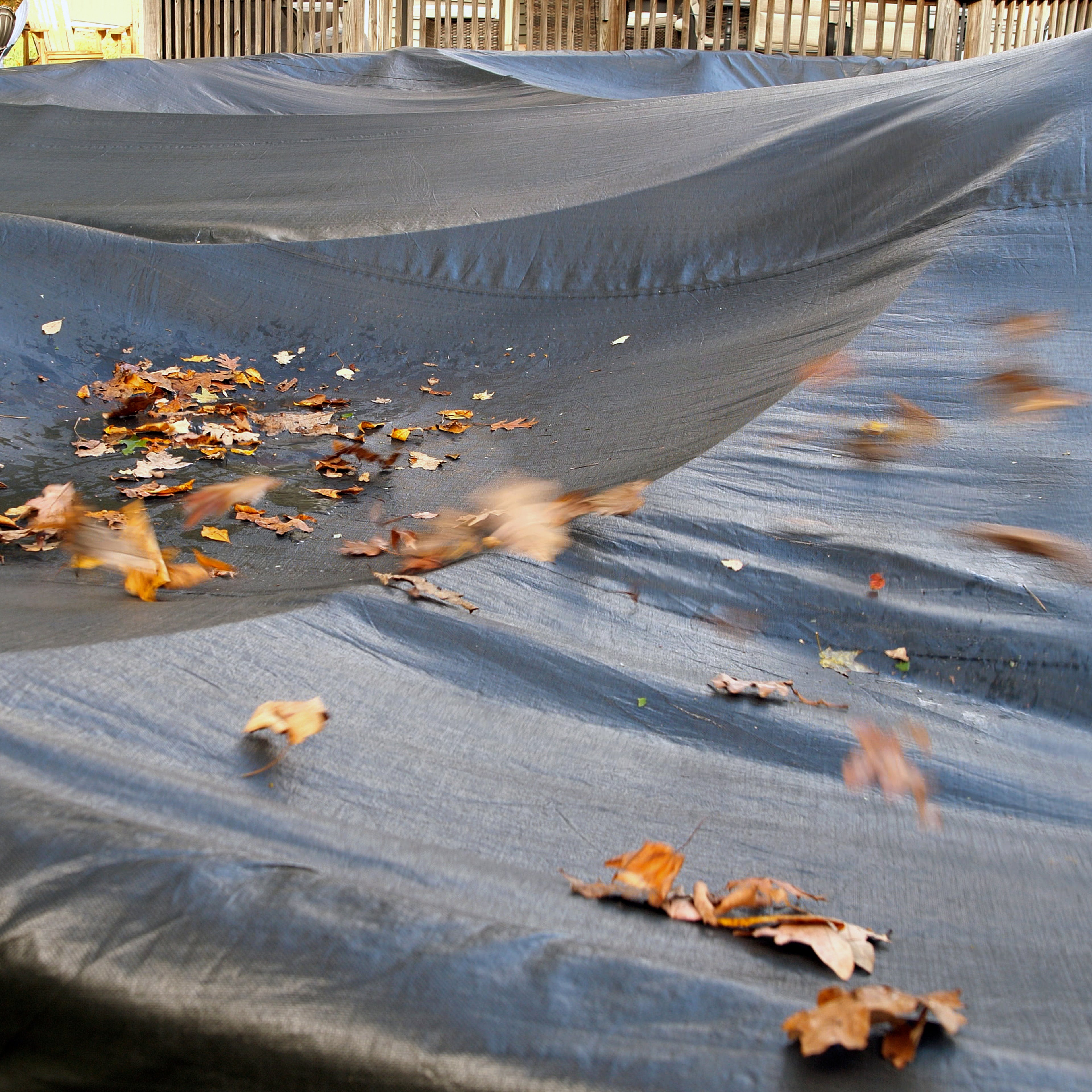 PoolTree System - Mesh Cover